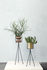 Supporto per vaso di fiori Plant Stand SMALL - per piante Stand Small / Per vasi di fiori - H 50 cm di Ferm Living
