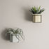 Supporto a parete Plant / Per vaso da fiori - Ferm Living
