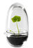 Mini serra Grow / Ø 8 x H 14 cm - Design House Stockholm