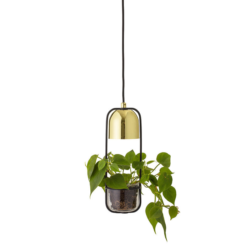 Lighting - Pendant Lighting -  Pendant metal black gold / With flowerpot - Ø 10 x H 34 cm - Bloomingville - Long / Gold & black - Glass, Metal