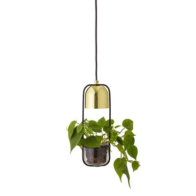 Illuminazione - Lampadari - Sospensione - / Con vaso di fiori - Ø 10 x  H 34 cm di Bloomingville -  - Metallo, Vetro