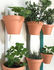 XPOT Wall fixation - For 4 flowerpots / H 200 cm by Compagnie