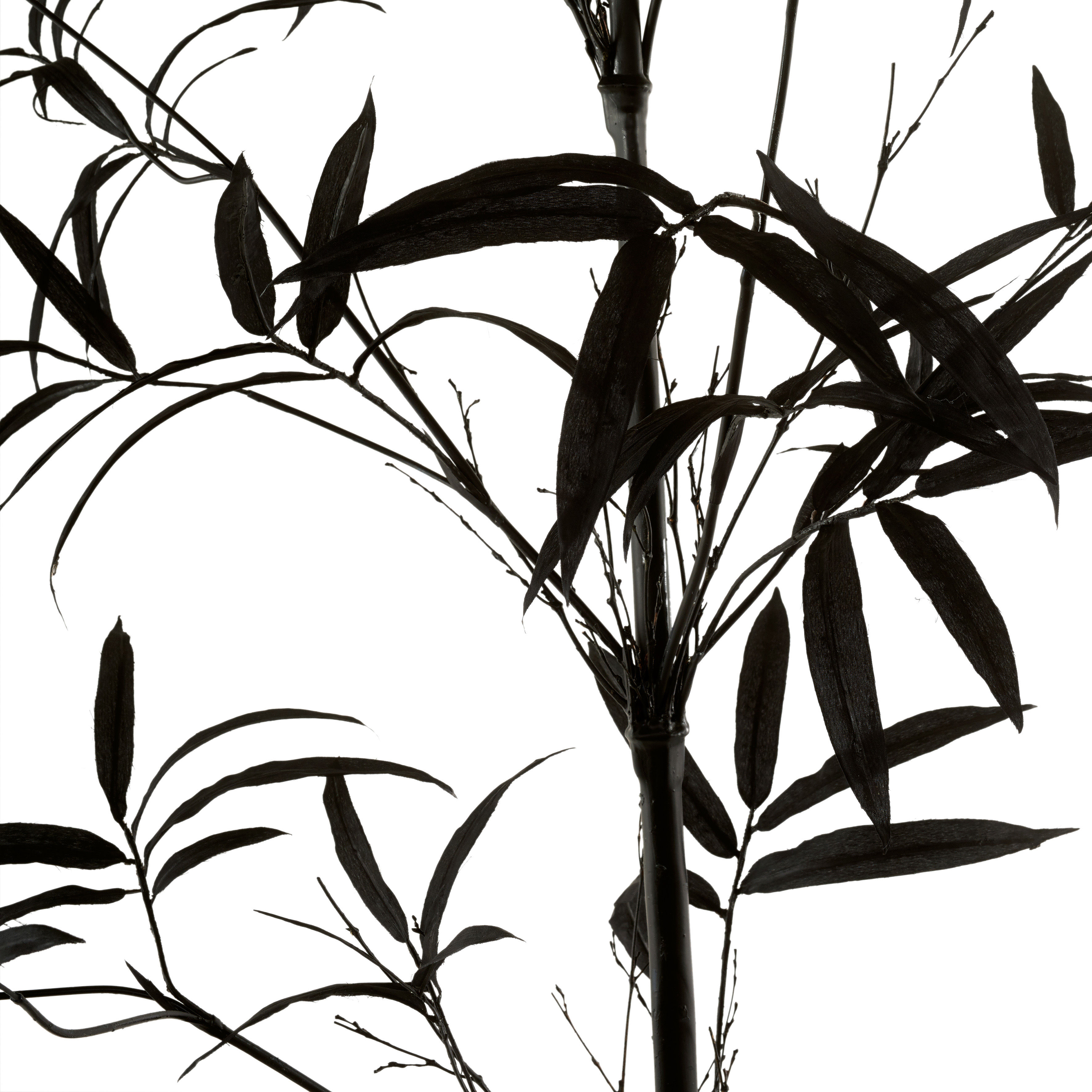 Pols Potten Bambou Artificial plant Black Made In Design UK