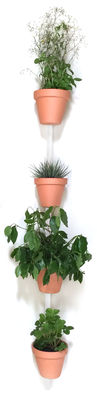 Déco - Pots et plantes - Support mural XPOT / Pour 4 pots de fleurs ou étagères - H 200 cm - Compagnie - Blanc - Chêne massif verni