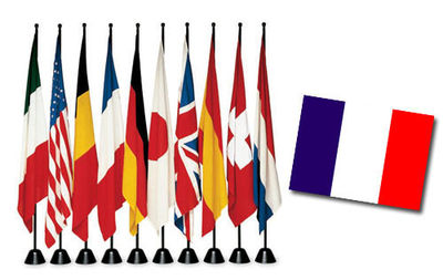Interni - Insoliti e divertenti - Bandiera Servobandiera di Zanotta - Bandiera francese - Acciaio verniciato, Tessuto