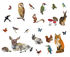 Les animaux 2 Sticker - Set of 27 stickers by Domestic