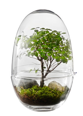 Interni - Vasi e Piante - Mini serra Grow X-Large - / Ø 20 x H 32 cm di Design House Stockholm - H 32 cm / Trasparente - Vetro soffiato a bocca