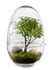 Mini serra Grow X-Large - / Ø 20 x H 32 cm di Design House Stockholm