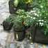 Pot de fleurs Geotextile / Outdoor - 50 L - Bacsac