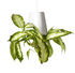 Sky Planter - Polypropylene Medium - H 15 cm / Upside down planter by Boskke