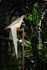 Lampada a stelo Perch Light LED - / Uccello mobile - H 164 cm di Moooi