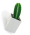 Off the wall Wall flowerpot - Small / Wall fiwation - D 8 cm by Thelermont Hupton