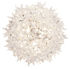 Bloom Wall light - Wall lamp / Ceiling lamp by Kartell