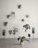 Plant Wall fixation - For flower pot by Ferm Living