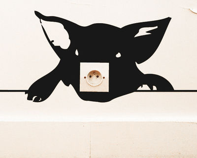 Déco - Stickers, papiers peints & posters - Sticker Zoo Cochon - Domestic - Cochon - Vinyle