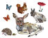 Les animaux 1 Sticker - Set of 8 stickers by Domestic
