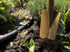 Outil de jardinage Orte / Set de 3 - Base en bois - Internoitaliano