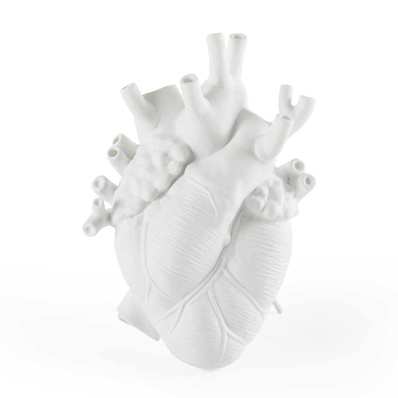 Cyberpunk cuore vaso cuore anatomico vaso di fiori contenitore di