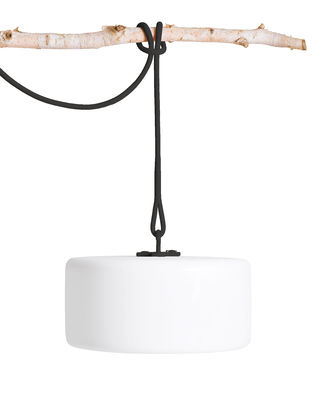 Illuminazione - Lampade da tavolo - Lampada senza fili Thierry Le swinger LED - / Incluso: cavo di sospensione + estremità in legno per piantare di Fatboy - Cavo antracite / Gamba in legno - Faggio, Polietilene, Silicone