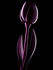 Tulip Dekoration H 150 cm - MyYour