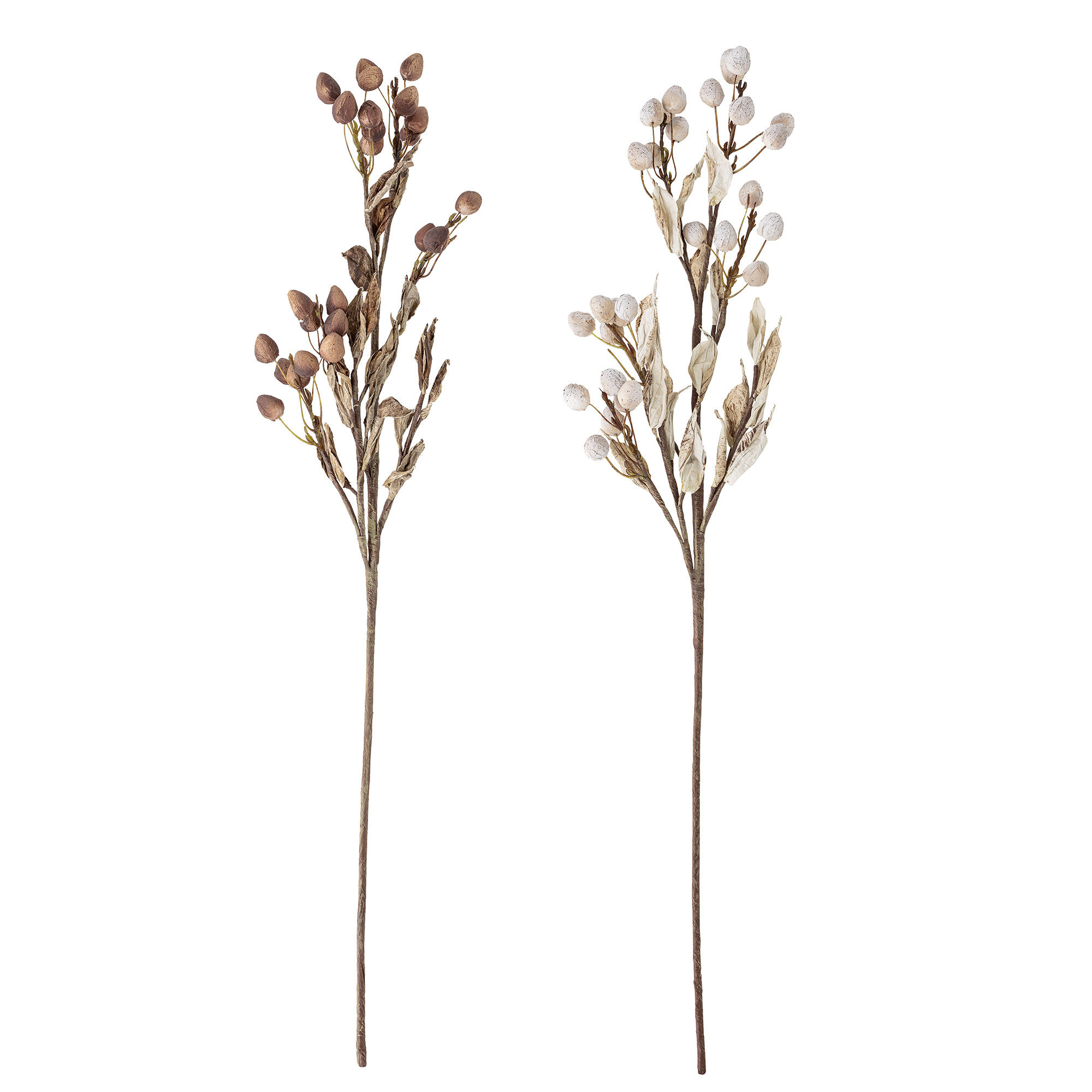 Bloomingville Artificial dried flowers Brown/Beige Made In Design UK