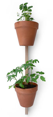 Déco - Pots et plantes - Support mural XPOT / Pour 2 pots de fleurs ou étagères - H 100 cm - Compagnie - Chêne naturel - Chêne massif