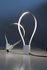 Fluida Table lamp - / Flexible Led strip by Martinelli Luce