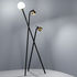 Tripod Floor lamp - / LED - H 173 cm by Fontana Arte