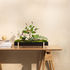 Botanic Tray Flowerpot - / Tray - 45 x 20 cm x H 4.8 cm by Design House Stockholm