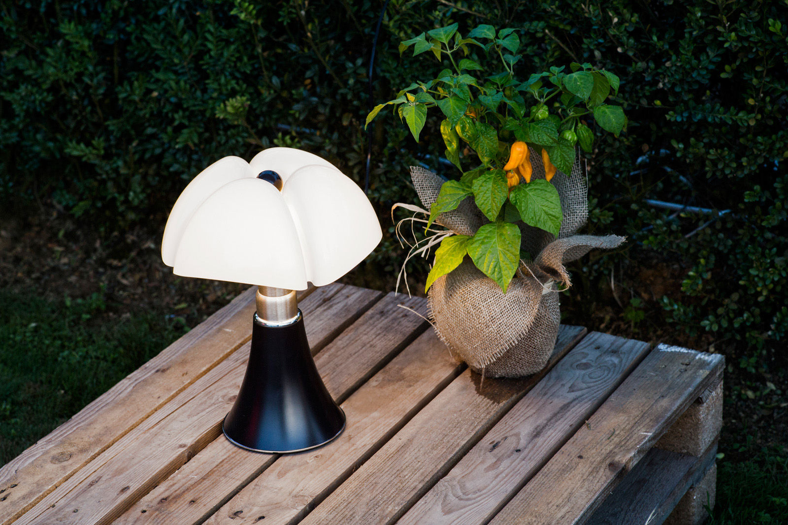 Lampe sans fil en acier inox brun foncé 27 x 35 cm Mini Pipistrello -  Martinelli Luce