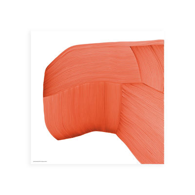 Decoration - Wallpaper & Wall Stickers - Ronan Bouroullec - Drawing 6 Poster - / 67,5 x 67,5 cm by The Wrong Shop - Without frame - Premium paper