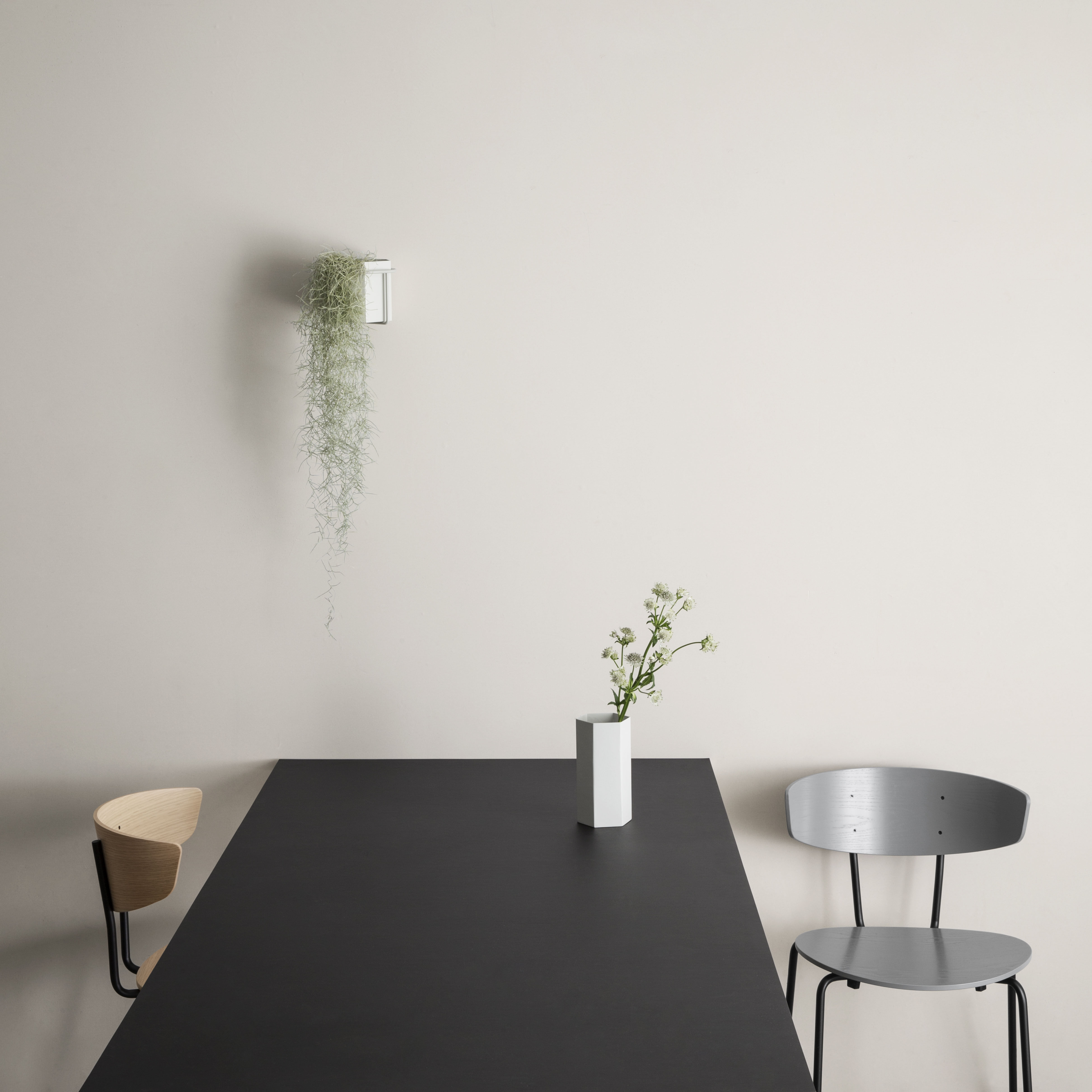 Wandhalterung Plant von Ferm Living - Grau | Made In Design