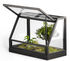 Terrarium Greenhouse Mini / L 48 x H 34 cm - Design House Stockholm