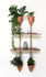Shelf - / For wall fixation XPOT - Round edges by Compagnie