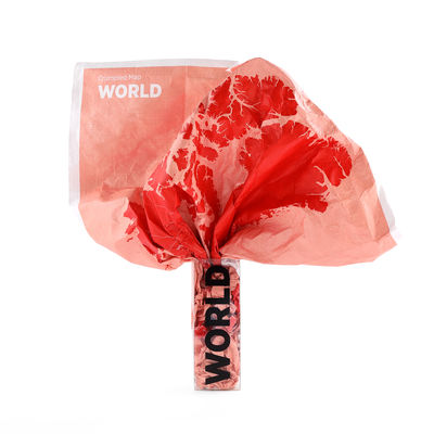 Déco - Pour les enfants - Carte du monde à personnaliser Crumpled World by Countries / Noms de pays - Feutre effaçable inclus - 87 x 58 cm - Palomar - Pays / Rouge & rose - Papier étanche
