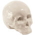 Decorazione Memorabilia My Skull - / Cranio in porcellana di Seletti