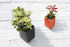 Off the wall Wall flowerpot - D 11,5 cm by Thelermont Hupton