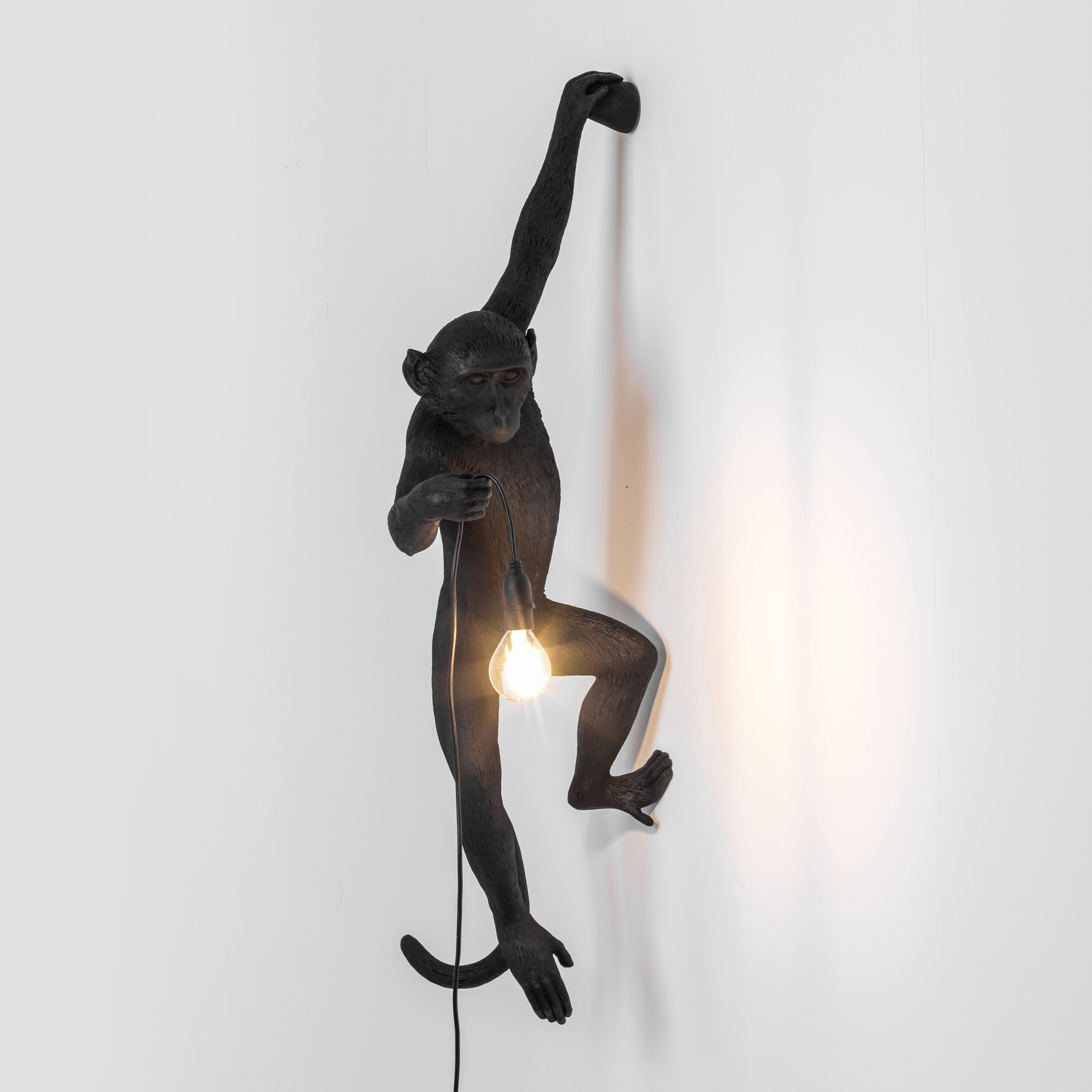 Seletti Monkey Hanging Outdoor wall light Black Made In Design UK