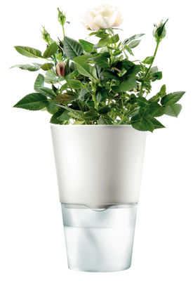 Tisch und Küche - Einfach praktisch - Blumentopf mit Wasserreservoir - klein - Eva Solo - Klein- Weiß - Glas, Keramik