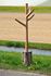 Bark Standing coat rack - H 180 cm - Solid wood by Pols Potten