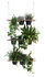 Etcetera Planter - Vegetal screen by Compagnie