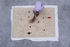 Silhouette Outdoor Outdoor rug - / By Jaime Hayon - 170 x 240 cm / Recycled PET fibre by Nanimarquina