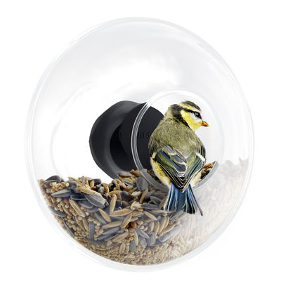 Accessories - Bird Feeder & Pet Accessories - Bird feeding tray - For window by Eva Solo - Transparent / black - Glass, Rubber, Stainless steel
