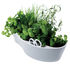 Pot de fleurs Herb Garden / Pour herbes aromatiques - Avec ciseaux - Royal VKB
