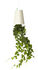 Sky Planter - Polypropylene Medium - H 15 cm / Upside down planter by Boskke