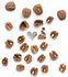 Nut Splitter Nut cracker by Alessi