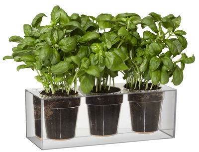 Jardin - Pots et plantes - Jardinière à réserve d'eau Cube / Pour 3 plantes - Boskke - Transparent - Polycarbonate