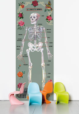 Interni - Sticker - Carta da parati Le squelette humain di Domestic - Multicolore - Scheletro - Tessuto non tessuto