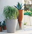 New Pot Flowerpot - H 50 cm by Serralunga