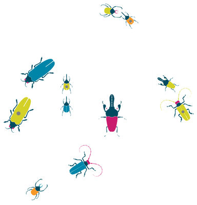Dekoration - Stickers und Tapeten - Insects Sticker Set mit 5 Stickern + 5 Magneten - Domestic - Blau - Vinyl